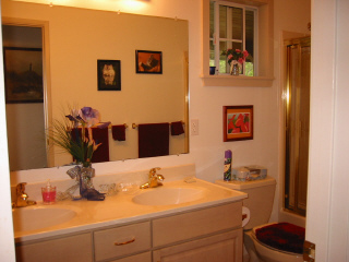 Guest bath - Kitty rooom